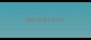 狗狗不听话了怎么办