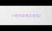 小狗狗能喝豆浆吗