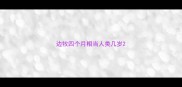 边牧四个月相当人类几岁