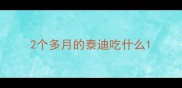 2个多月的泰迪吃什么