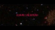 抗病毒口服液狗狗