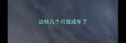 边牧几个月就成年了