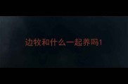 边牧和什么一起养吗