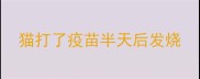 猫打了疫苗半天后发烧