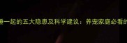 狗狗和人睡一起的五大隐患及科学建议养宠家庭必看的睡眠指南