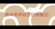 猫咪带伊丽莎白圈睡觉