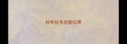 拉布拉多皮肤红黑