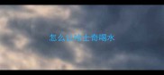 怎么让哈士奇喝水