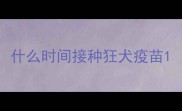什么时间接种狂犬疫苗