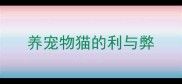 养宠物猫的利与弊