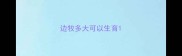 边牧多大可以生育