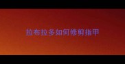 拉布拉多如何修剪指甲