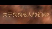 关于狗狗感人的新闻