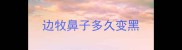 边牧鼻子多久变黑