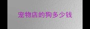 宠物店的狗多少钱
