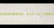 狗狗打疫苗的最佳时机多久打一次注意事项全