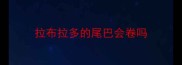 拉布拉多的尾巴会卷吗