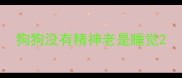 狗狗没有精神老是睡觉