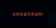 北京白金汉宫边牧
