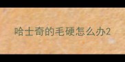 哈士奇的毛硬怎么办