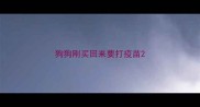 狗狗刚买回来要打疫苗