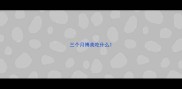 三个月博美吃什么