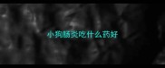 小狗肠炎吃什么药好