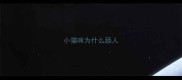 小猫咪为什么舔人