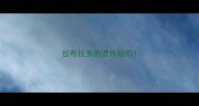 拉布拉多的遗传缺陷