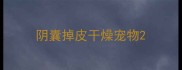 阴囊掉皮干燥宠物