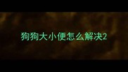 狗狗大小便怎么解决