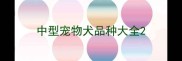 中型宠物犬品种大全