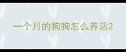 一个月的狗狗怎么养活
