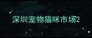 深圳宠物猫咪市场