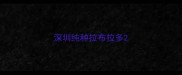 深圳纯种拉布拉多