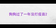 狗狗过了一年没打疫苗