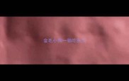 金毛小狗一顿吃多少