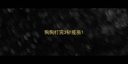 狗狗打完3针疫苗