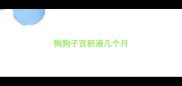 狗狗子宫积液几个月