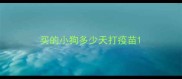买的小狗多少天打疫苗