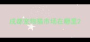 成都宠物猫市场在哪里