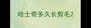 哈士奇多久长剪毛