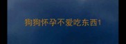 狗狗怀孕不爱吃东西