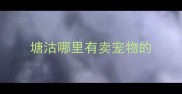 塘沽哪里有卖宠物的