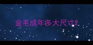 金毛成年多大尺寸