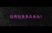 拉布拉多多久长头