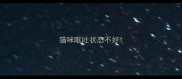 猫咪呕吐状态不好