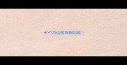 七个月边牧狗狗训练