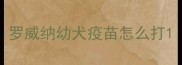 罗威纳幼犬疫苗怎么打