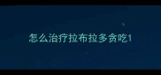 怎么治疗拉布拉多贪吃